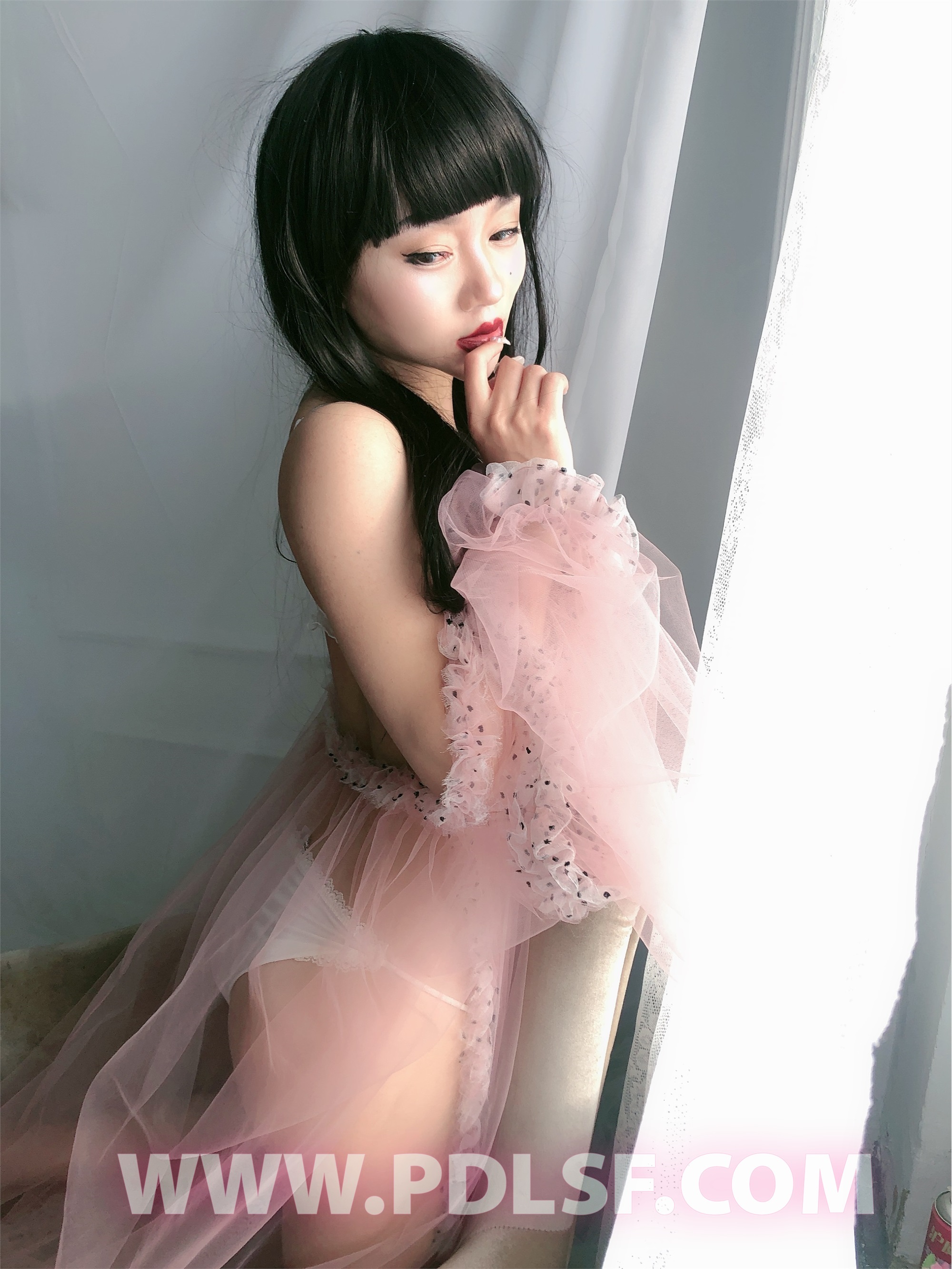 PDL潘多拉 2020.02.03 专辑No.275